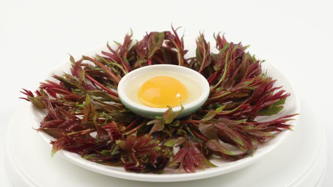 香椿鸡蛋食材特写家常菜产品展示有机