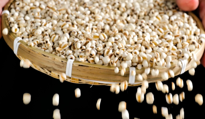 五谷杂粮薏米薏仁米薏苡有机食品健康食品