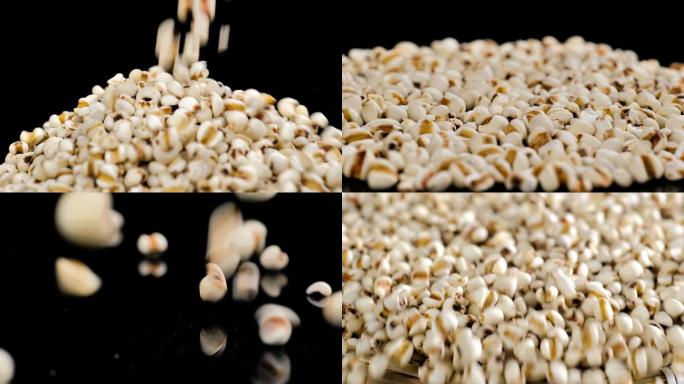 五谷杂粮薏米薏仁米薏苡有机食品健康食品