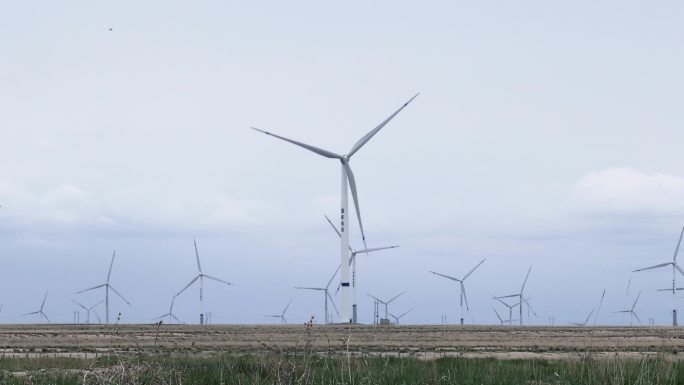 盐碱地风力发电新能源