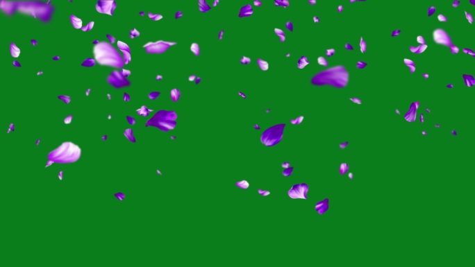 紫色花瓣飘落地面