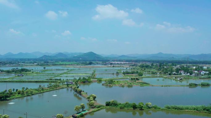 浙江湖州菱湖省级湿地公园