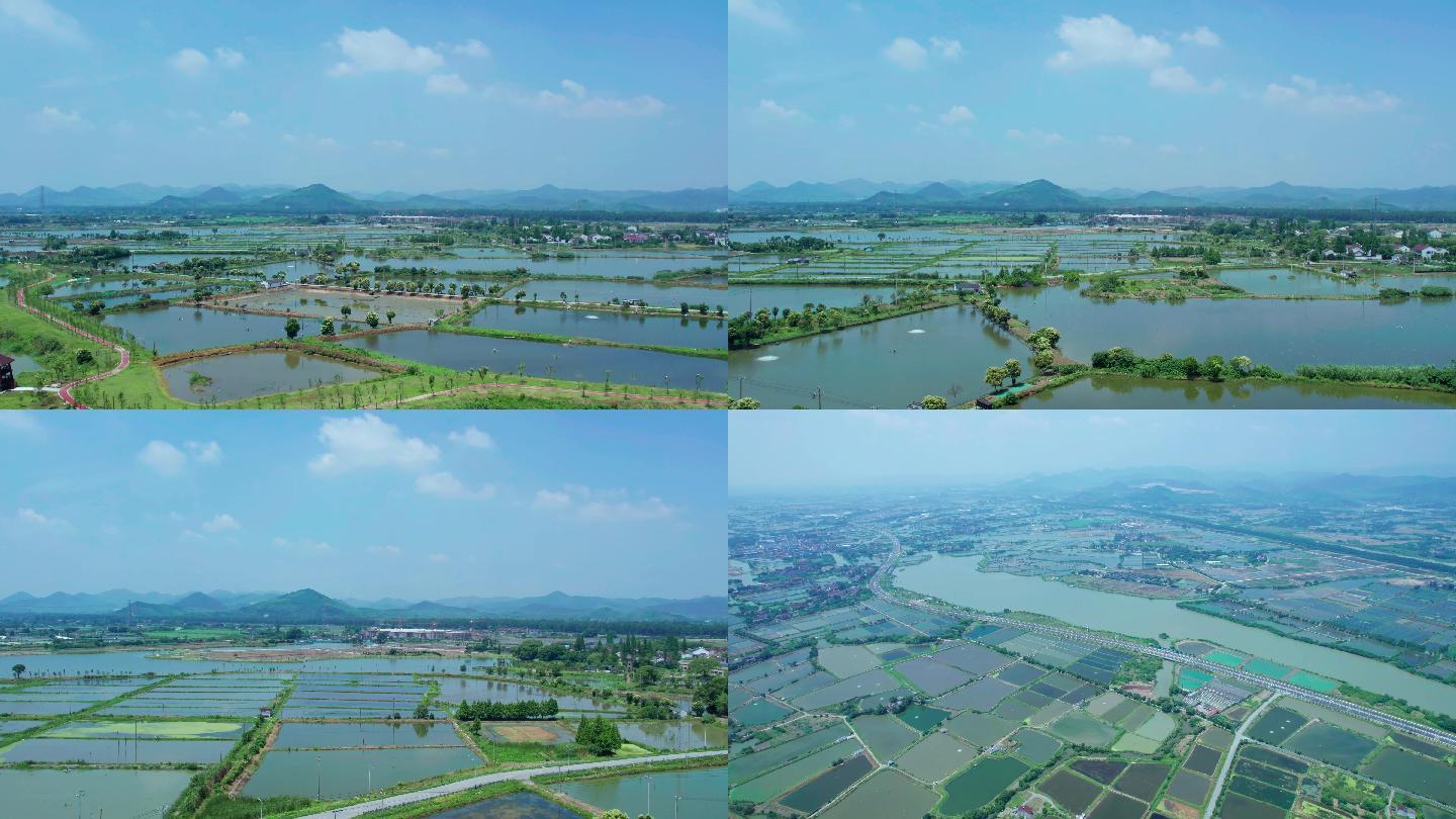 浙江湖州菱湖省级湿地公园