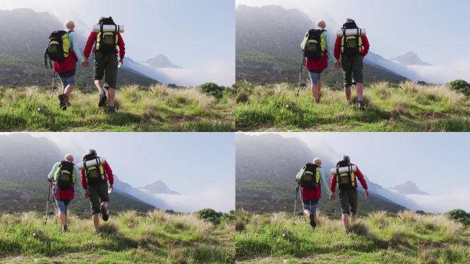 后视图的高级徒步夫妇与背包和登山杆牵手