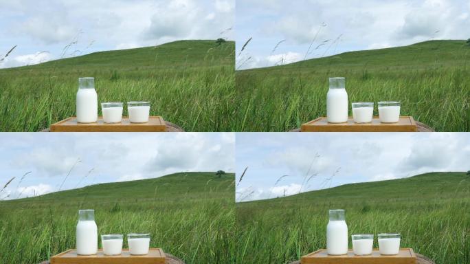 草原上的牛奶特写纯天然天然牛奶