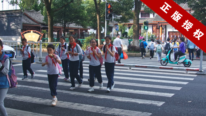 4k实拍小学生放学过斑马线