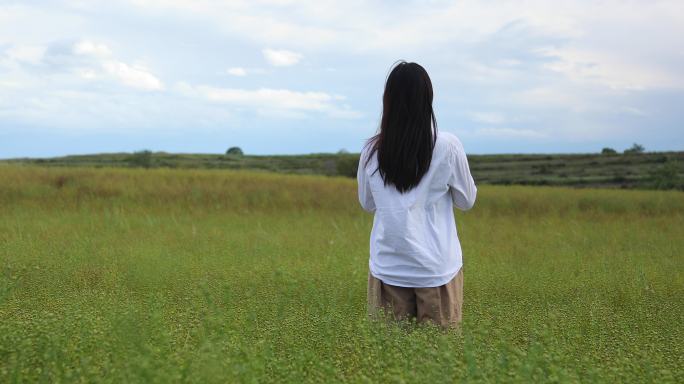 草原女人背影特写草原