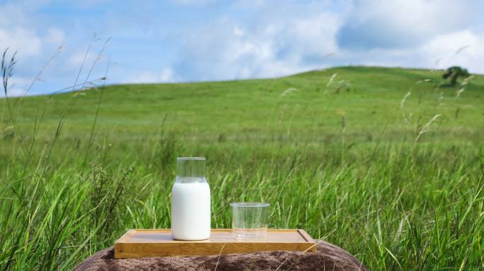 草原上的牛奶特写自然牧场牛奶广告草原奶牛