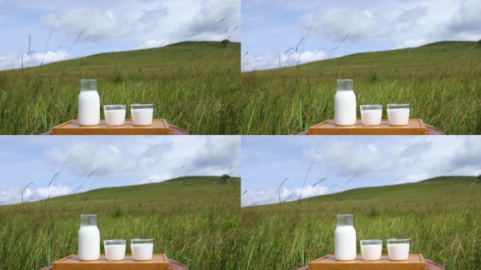 草原上的牛奶实拍纯天然奶源广告