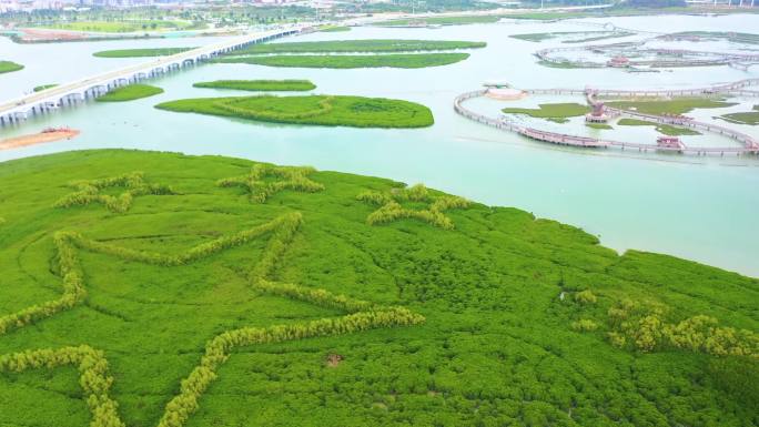 厦门下潭尾红树林湿地公园