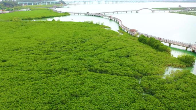 厦门下潭尾湿地公园