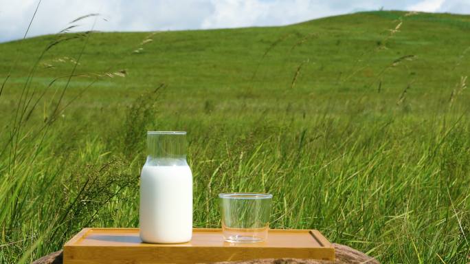 草原上的牛奶特写大自然的馈赠