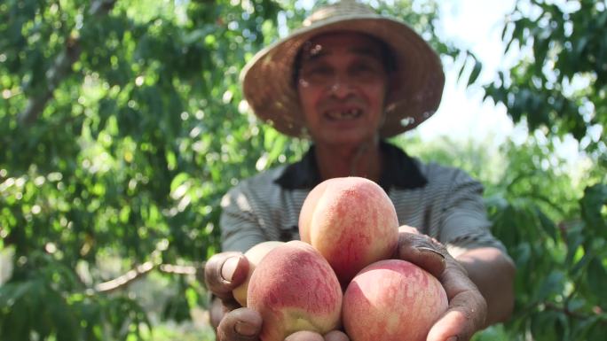 农民丰收肖像笑脸