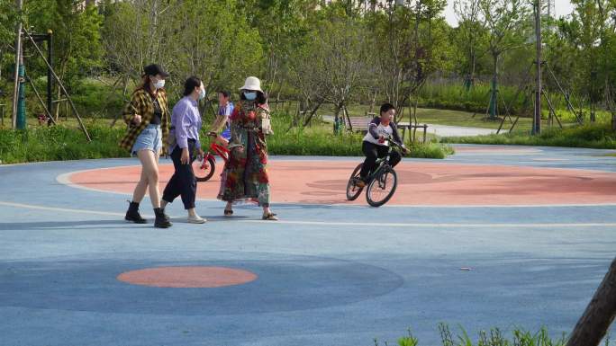 公园自行车