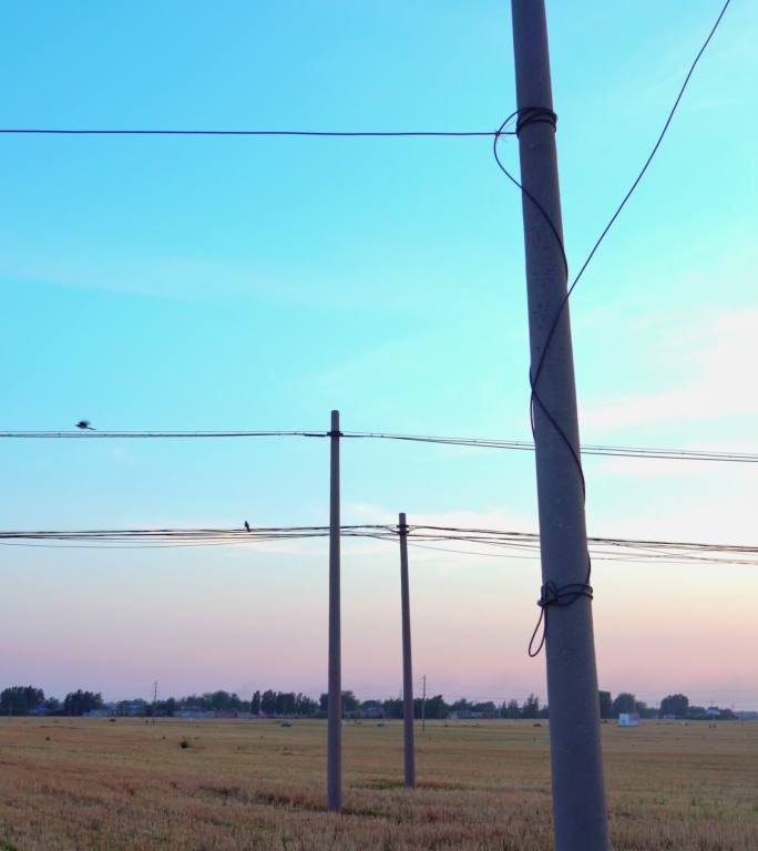 田野电线杆丨竖屏