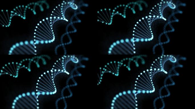 4K DNA分子链1（带通道循环）