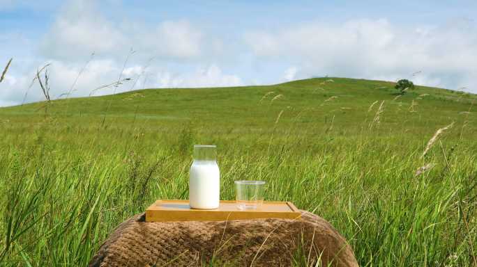 草原上的牛奶实拍牛奶广告素材原生态