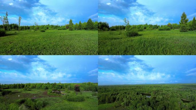 奔向远方 奔向自由 远大前程 启航