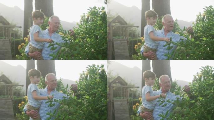 年长的白人男子背着他的孙子花时间在花园里