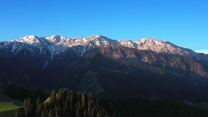 新疆天山果子沟的早晨