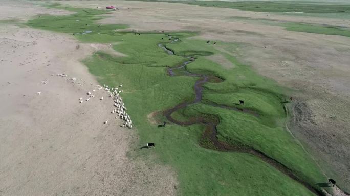 新疆哈密：美丽的沙漠河曲湿地