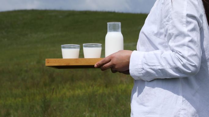 草原上的牛奶特写纯牛奶优质奶源