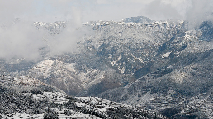 雪山雪松雪景满山大雪