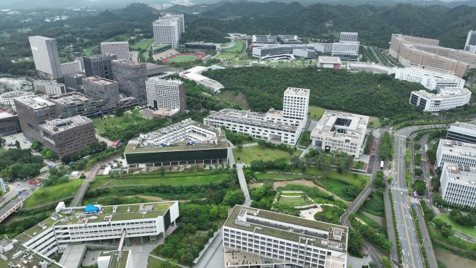 南方科技大学