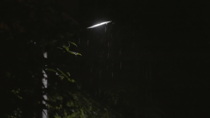 下雨天 雨中路灯 雨中夜景 雨打地面