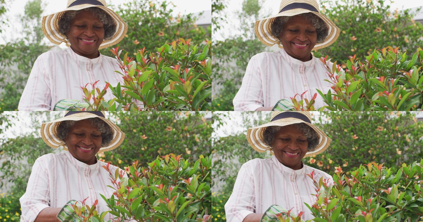 高级非洲裔美国妇女戴园艺手套在花园里修剪植物