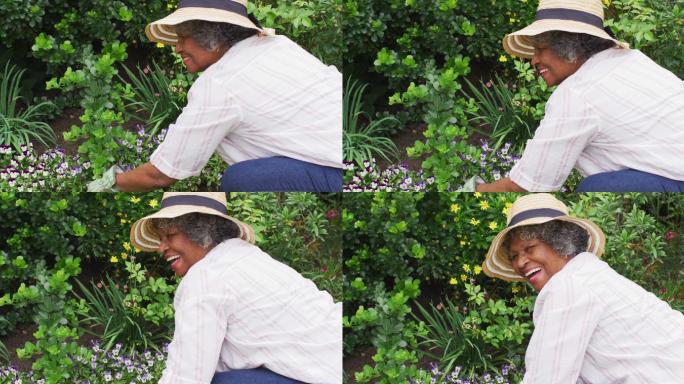高级非洲裔美国妇女的肖像戴园艺手套在花园里种花