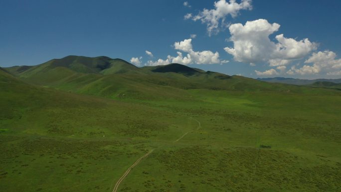 原创 甘肃甘南夏河县桑科草原草甸自然风光