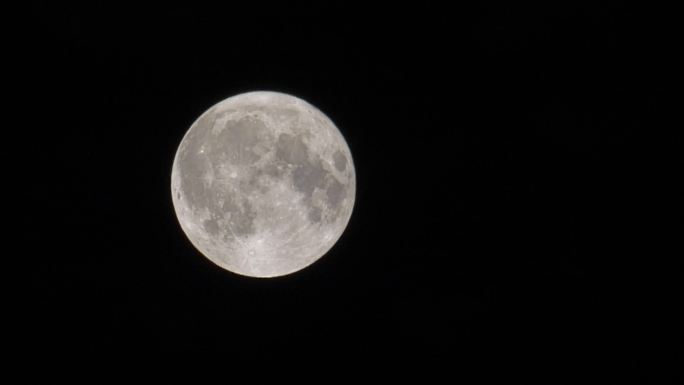 超级月亮 中秋圆月 月上枝头