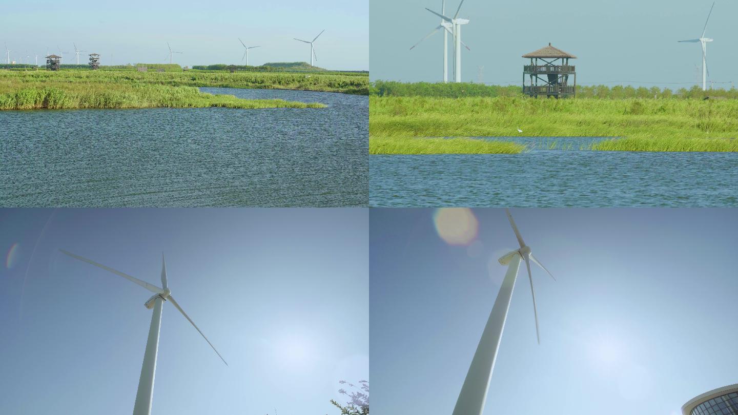 生态湿地 风力发电