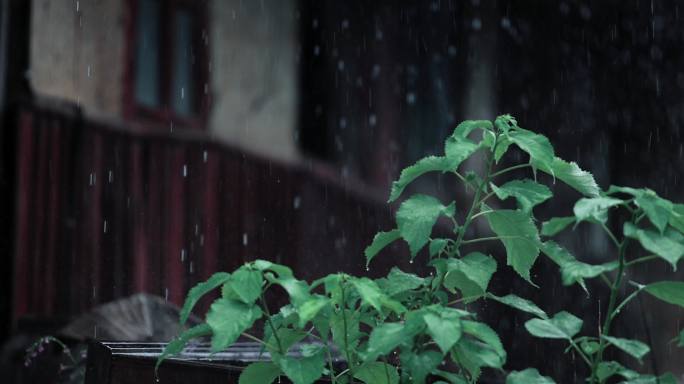 雨天古村古镇屋檐4K