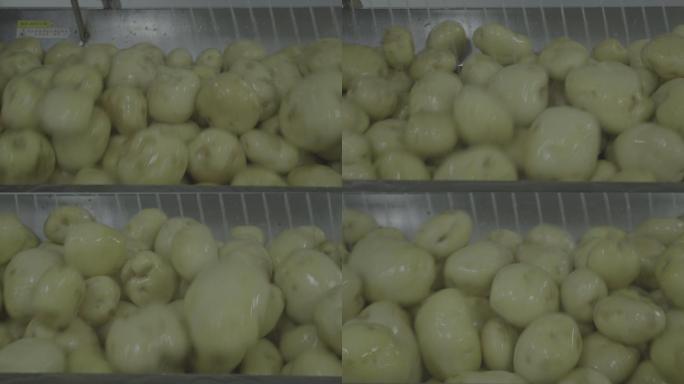 全自动清洗土豆