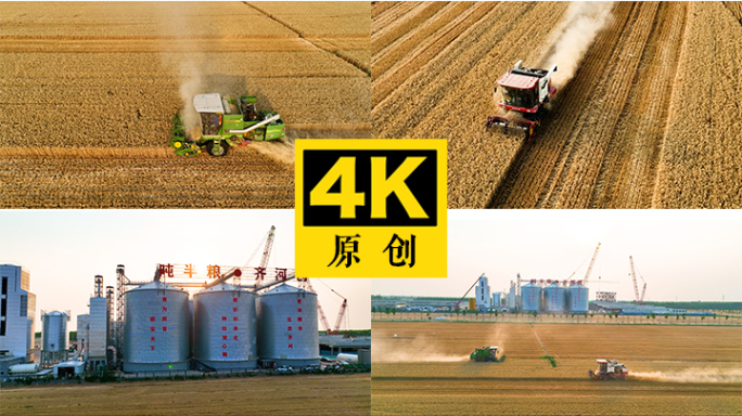收割小麦4K (荐)