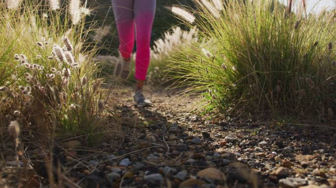 低段混合种族妇女锻炼跑步在田野在农村