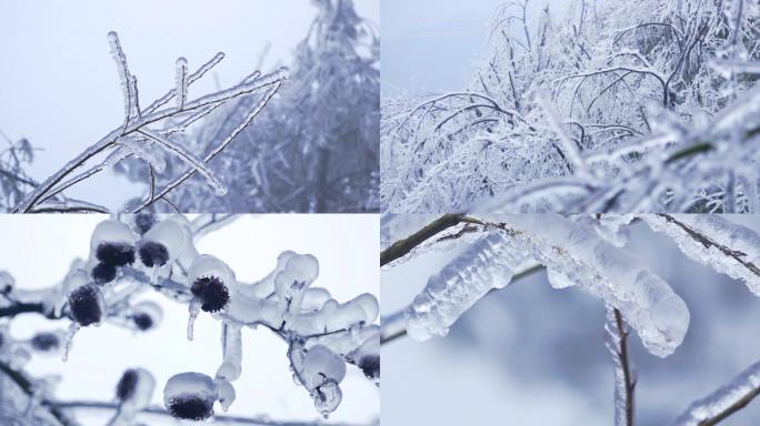 大雪后山上雾凇树枝上的冰挂冰凌冬天寒冷天
