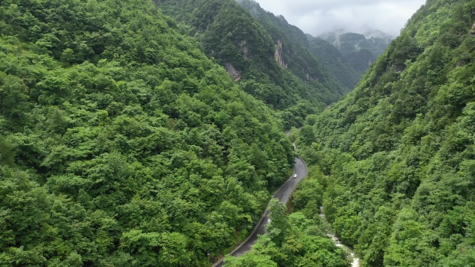 原创 湖北神农架G209峡谷公路森林风光