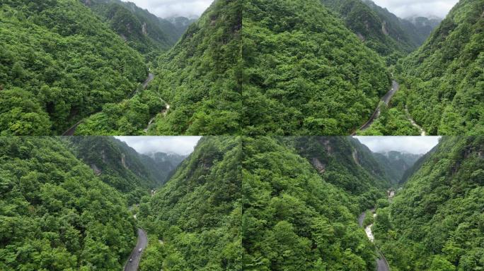 原创 湖北神农架G209峡谷公路森林风光