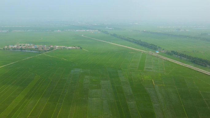 五常大米种植基地东北稻花香灌溉水源