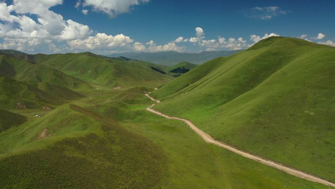 原创 甘肃甘南夏河县桑科草原公路自然风光