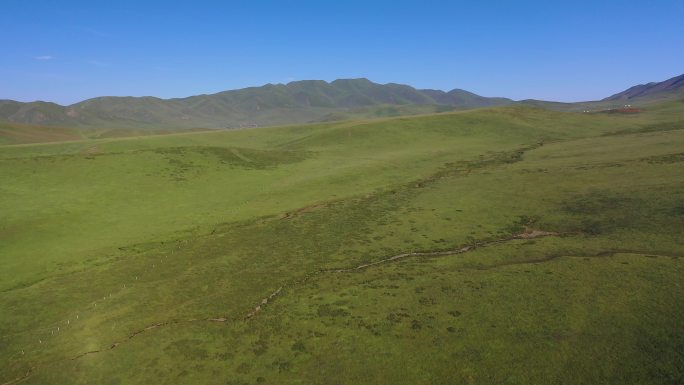 原创 甘肃甘南夏河县桑科草原草甸自然风光