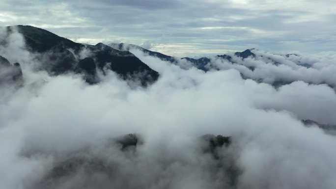 原创 湖北神农架神农顶云雾缭绕自然风光