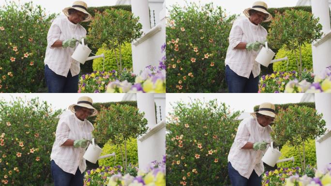 高级非洲裔美国妇女戴园艺手套浇花在花园里