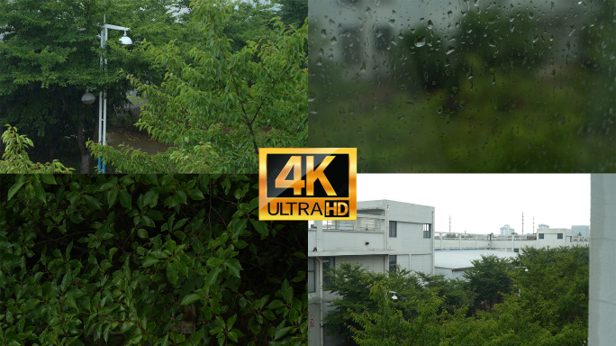 春天下雨唯美清新空镜雨景4k视频素材