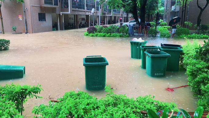 韶关发洪水 小区内涝 实拍