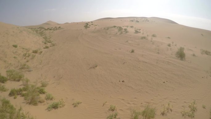 汽车在沙漠里穿行主观镜头组