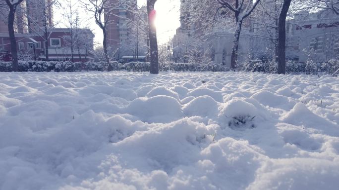 大雪初晴后的雪地近景